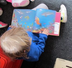 Ett barn läser i en bilderbok